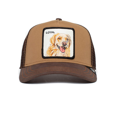 Goorin Bros. The Farm-Berretto Unisex da Baseball Cappellino
