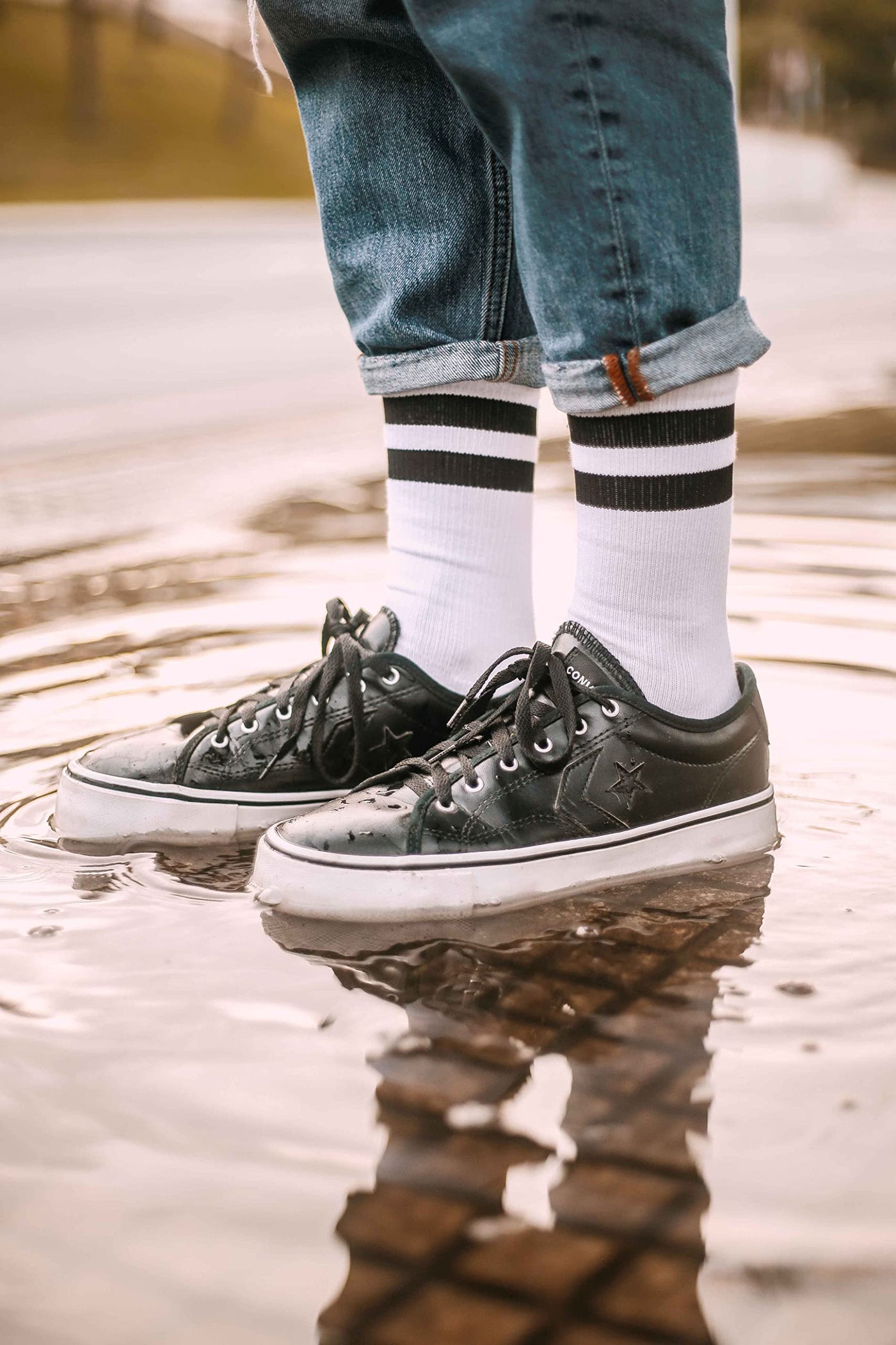 American Socks 24