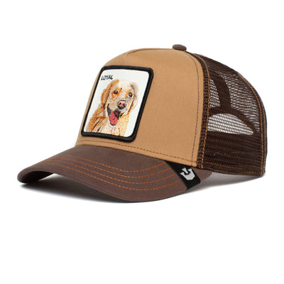 Goorin Bros. The Farm-Berretto Unisex da Baseball Cappellino
